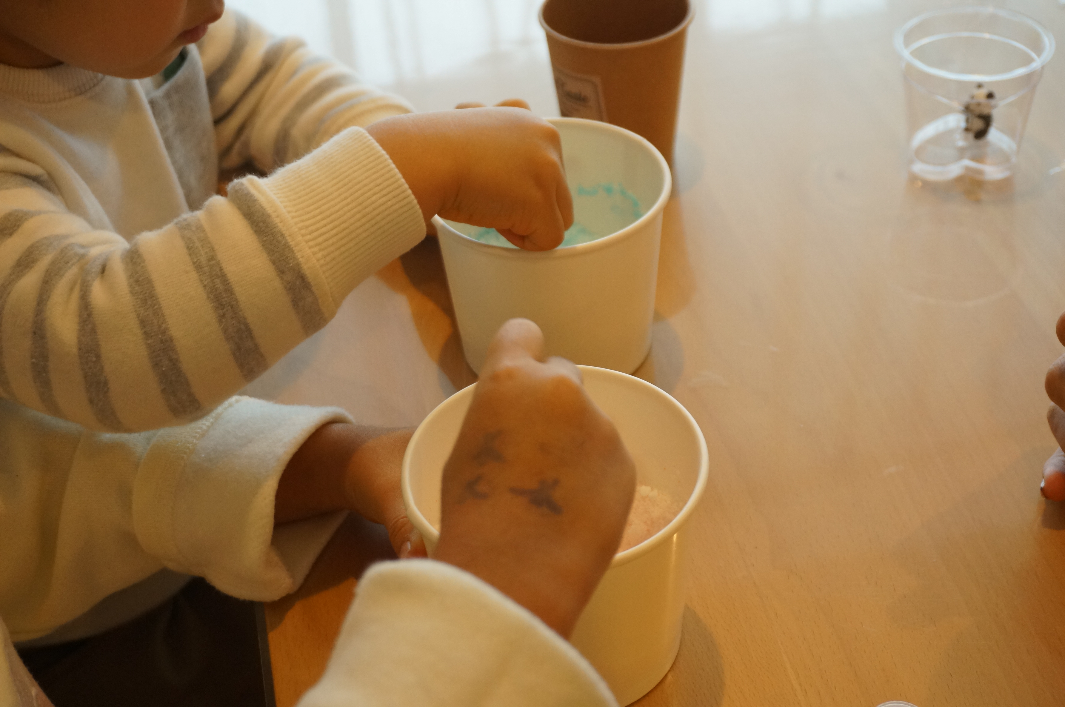 http://saiens.jp/diary/DSC00813.JPG