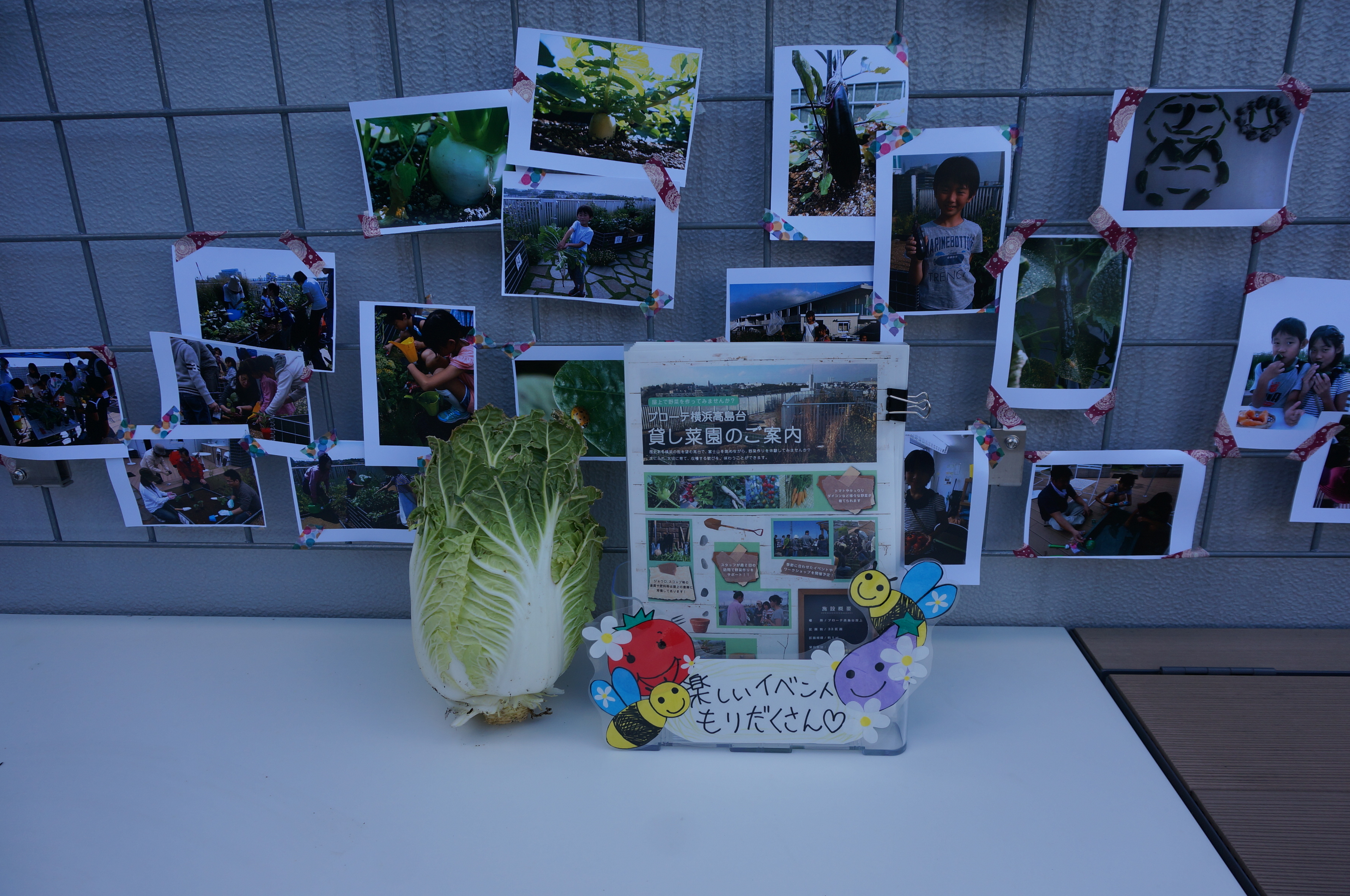http://saiens.jp/diary/DSC03425.JPG
